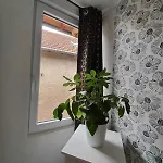 Logis Des Pivoines Holiday home