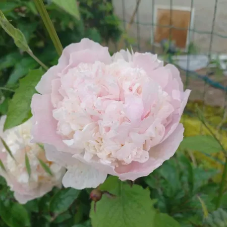 Logis Des Pivoines Feriehus