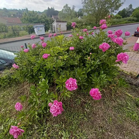 Logis Des Pivoines * Trezelles