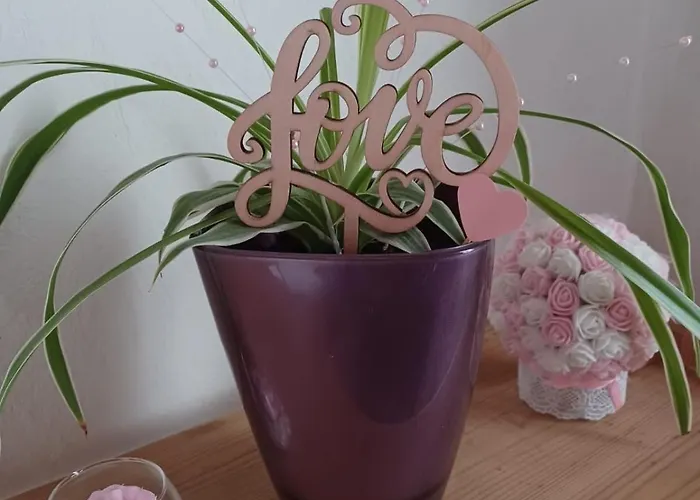 Logis Des Pivoines *