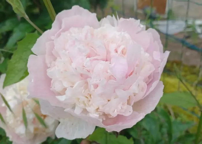 Logis Des Pivoines بيت للعطل