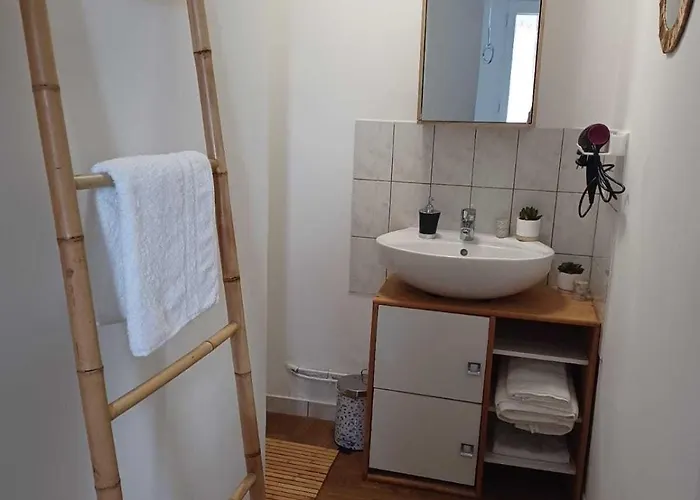 Logis Des Pivoines بيت للعطل Trezelles